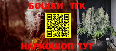 крисы Гудермес