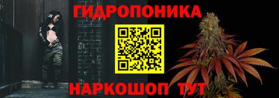 крисы Гудермес