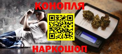 крисы Гудермес