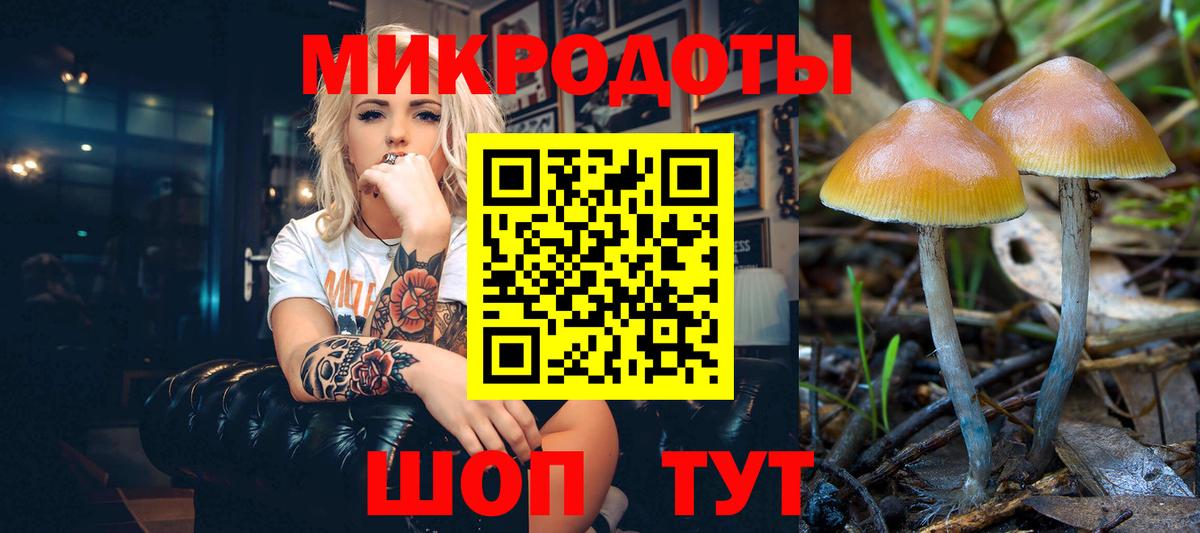 Псилоцибиновые грибы MAGIC MUSHROOMS  Галлюциногенные грибы Psilocybe  Вход с VPN  Богородск 